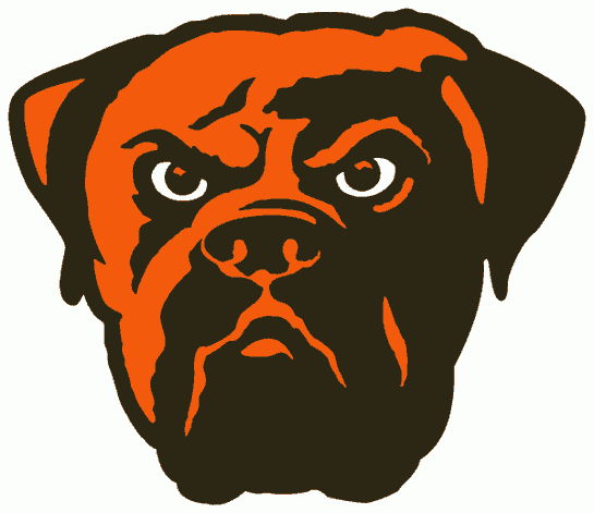 Cleveland Browns 2003-2014 Alternate Logo t shirts DIY iron ons